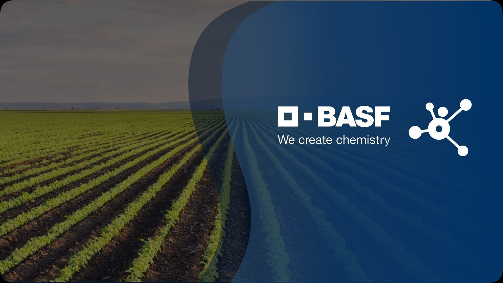BASF — capa do projeto