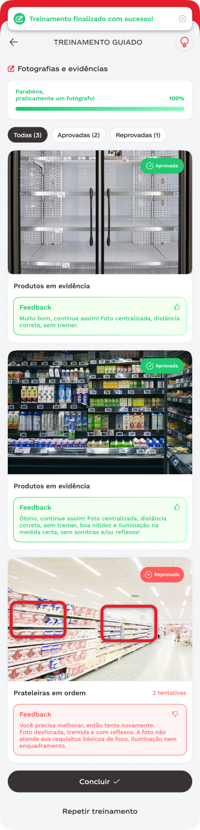 Treinamento concluído com sucesso