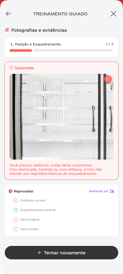 Etapas do treinamento